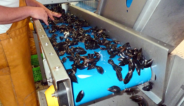 Mussels machinery