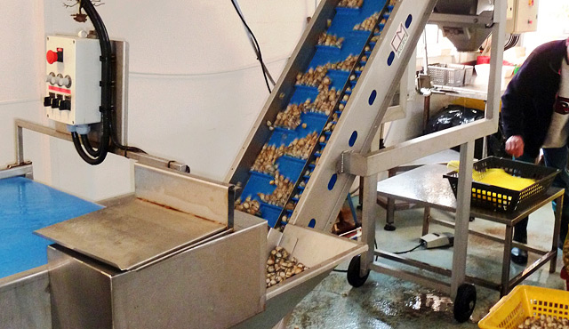 Machinery for other shellfishes